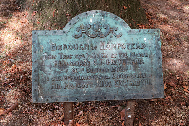 IMG 2551-001-Coronation Tree Plaque IMG 2551-001-Coronation Tree Plaque