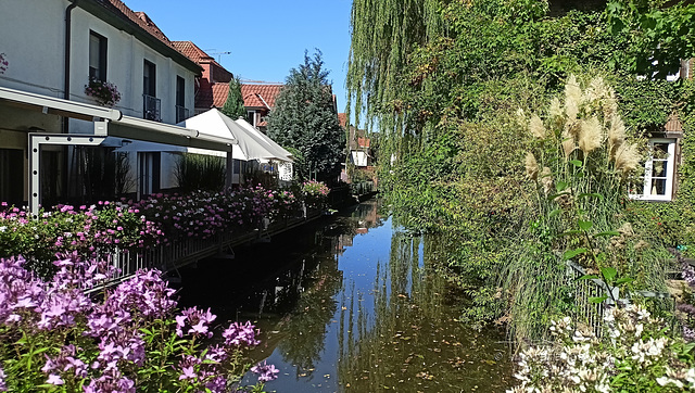 2023, Borken - Idylle / Aa-Brücke Freiheit