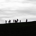 Cown Edge walkers