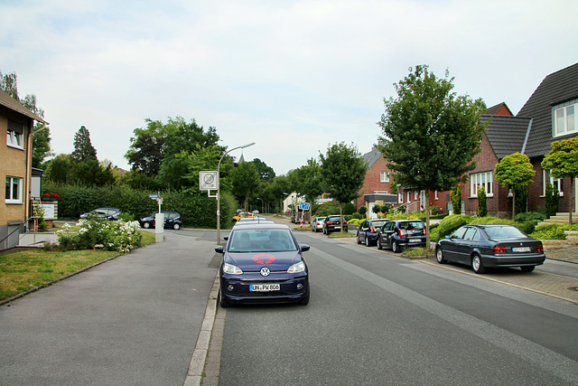 Widumer Straße (Dortmund-Brechten) / 22.06.2019