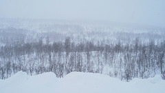 Lapland, Snowing
