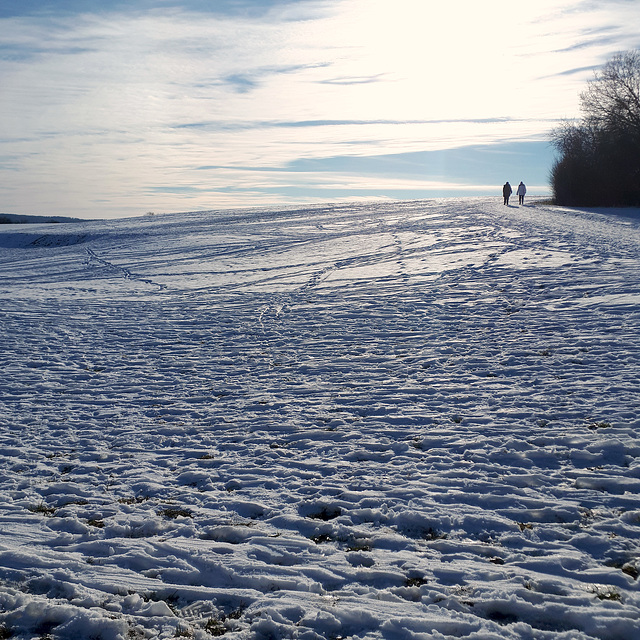 Winterspaziergang