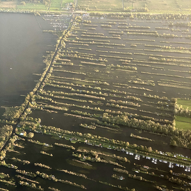 Netherlands 2021 – Peat land