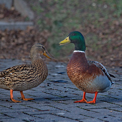 na, wär das was für dich ? na, wär das was für dich ?