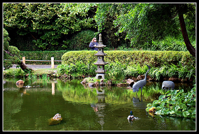 At Japanese Tea Garden