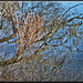 Winterwasser