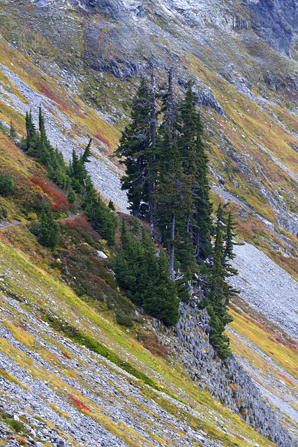 Autumn Color in the Cascades