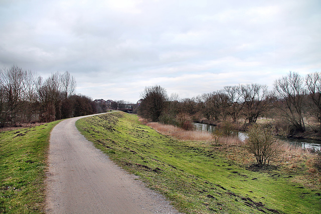 Weg auf dem Lippedeich (Lünen) / 4.03.2023