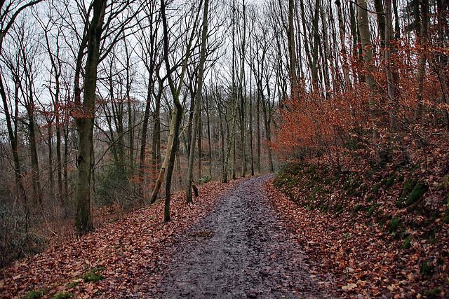 Bergbauwanderweg Muttental (Witten-Bommern) / 10.12.2024