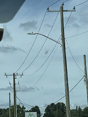 Eversource 13.2/22.9kV Y pole