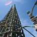 Watts Towers (5087)