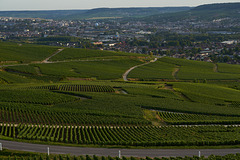 view to Epernay _France