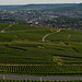view to Epernay _France