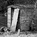 Jan 01: old shed