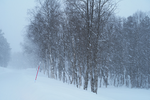 Lapland, Snowing