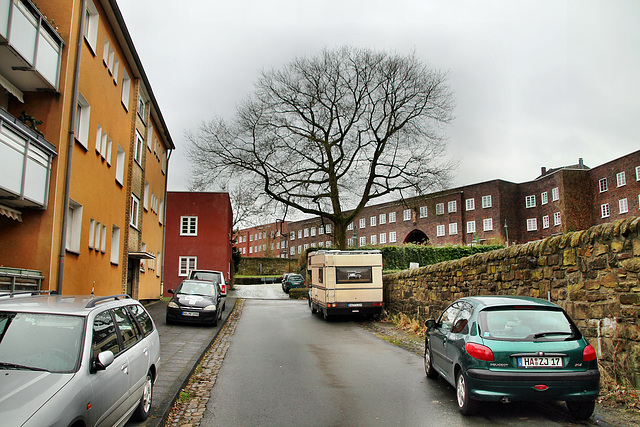 Cuno-Siedlung (Hagen-Kuhlerkamp) / 29.01.2022