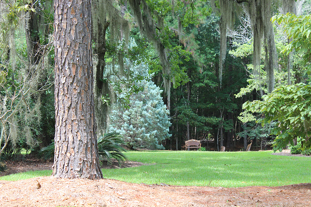 A Bench for Monday!   can you see it?   :)))