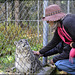 Stroking a snow leopard, Pakistan