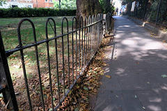 IMG 2556-001-Fence & Path