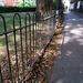 IMG 2556-001-Fence & Path