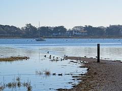 Langstone Harbour.......the Wade Way