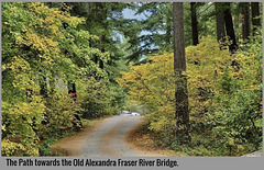 Great fall colours. Great fall colours.