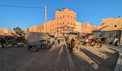 Ici, ce sont les chevaux qui ont priorité ! Ici, ce sont les chevaux qui ont priorité !