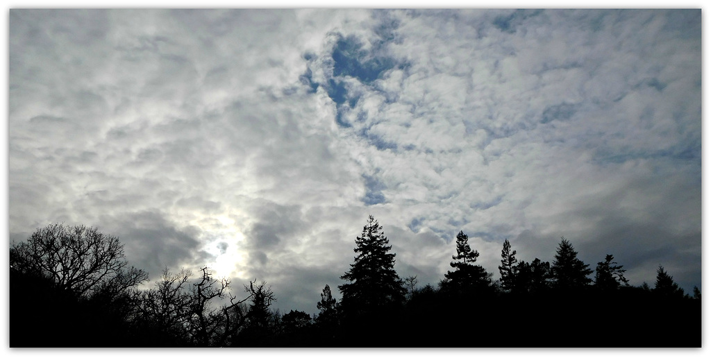 juste un coeur dans le bleu du ciel d'hiver