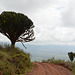 The Road along the Ridge of the Ngorongoro Crater