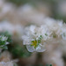 DSCF9140