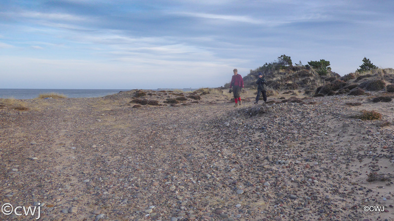 Findhorn Beach