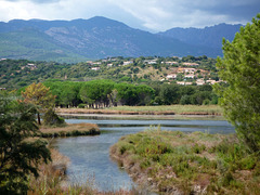 Lake, Pinarello