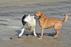 Just throw the ball would you!!!!