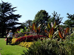 Flower garden Greenwich