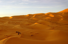 Le silence du désert