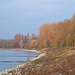 ... bei einem Spaziergang am Rhein