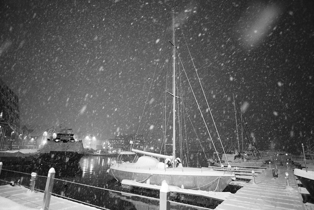 Tromsø, The Harbour