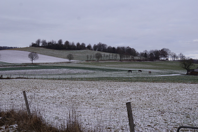 Schnee in den Feldern