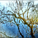 Winterwasser