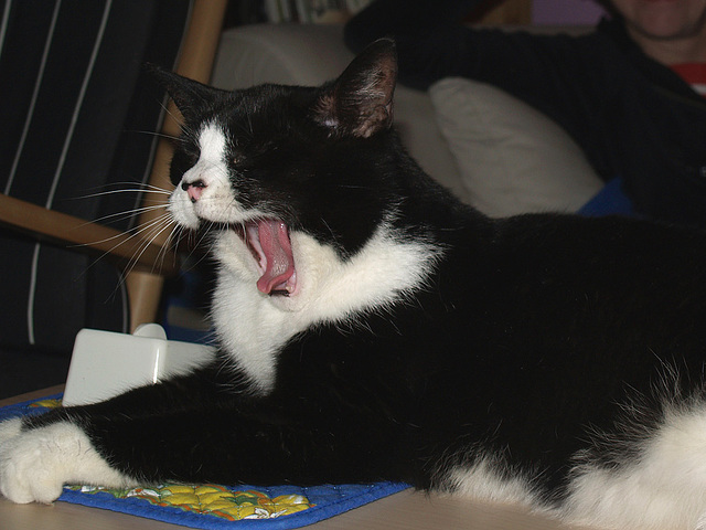 Snow White yawning (2008) - Repost