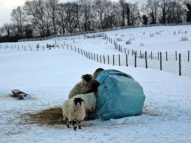 I do love these ready meals, North Yorkshire