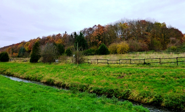 DE - Weilerswist - Autumn along the Swist