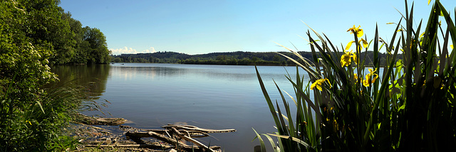 am Bärensee (pip)