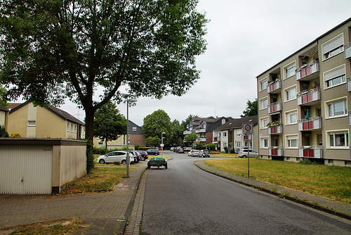 Raymannsgrund (Dinslaken-Hiesfeld) / 4.06.2020