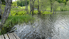 Je me souviens, c'était bien...