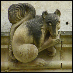 squirrel grotesque