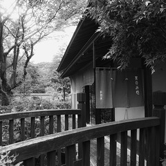 Tea house in a park