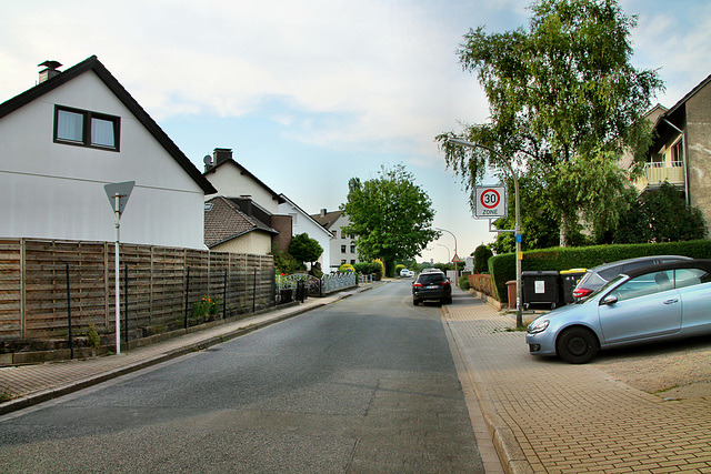 Im Rübel (Dortmund-Brechten) / 22.06.2019