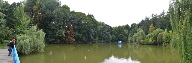 Тростянецкий дендропарк, Залив большого озера / Trostyanets Arboretum, Bay of a large lake