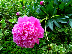 P1190260
